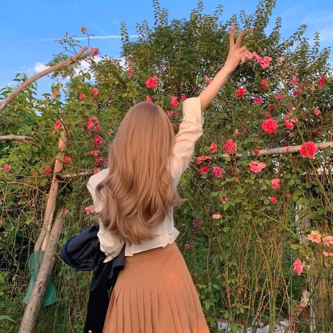 图书馆员第二季